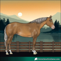Horse Color:Gray Silver Sable Cream Champagne
