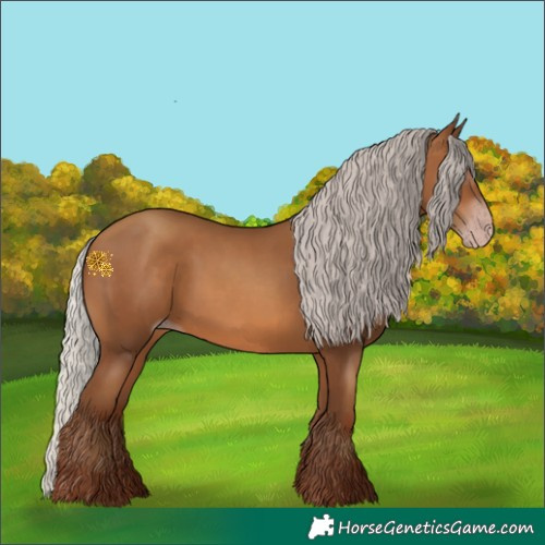 Horse Color:Gray Silver Sable Champagne 