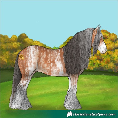 Horse Color:White Spotted Bay Dun Rabicano  and White Spotted Bay Rabicano 