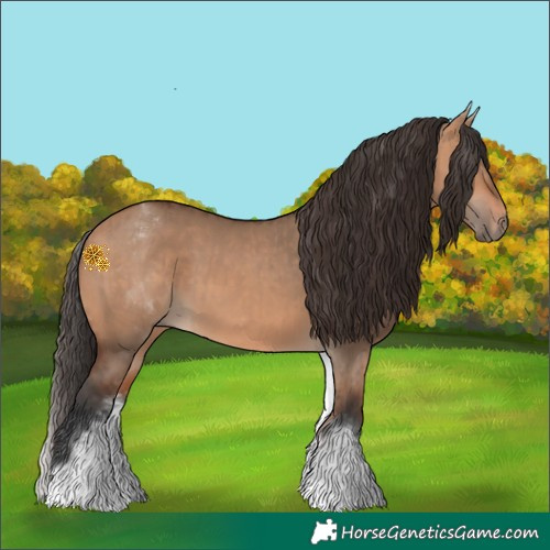 Horse Color:White Spotted Bay Dun Rabicano  and White Spotted Bay Dun Rabicano 