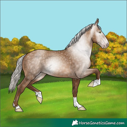 Horse Color:Gray Silver Sable Champagne 