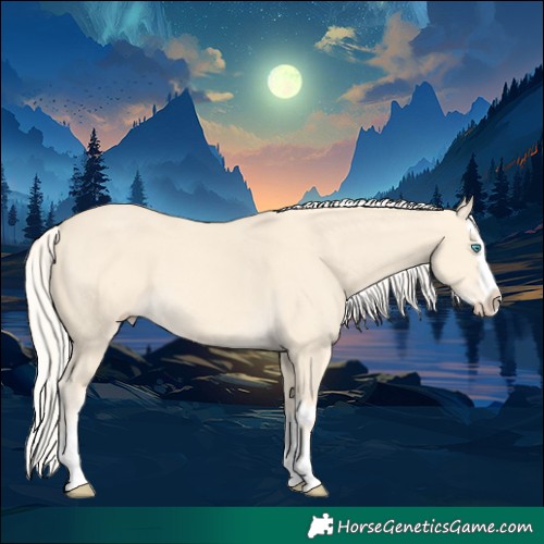 Horse Color:Cremello Splash  and Cremello Splash 