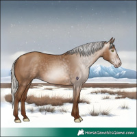 Horse Color:Gray Silver Sable Champagne 