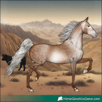 Horse Color:Gray Silver Sable Champagne 