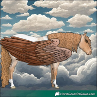 Horse Color:Red Roan Appaloosa 