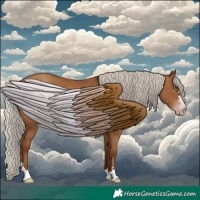 Horse Color:Gray Silver Sable Champagne 