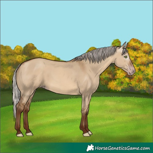 Horse Color:Gray Silver Sable Champagne Dun