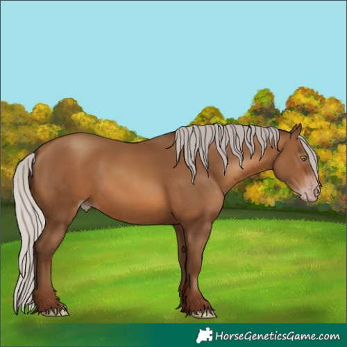 Horse Color:Gray Silver Sable Champagne 
