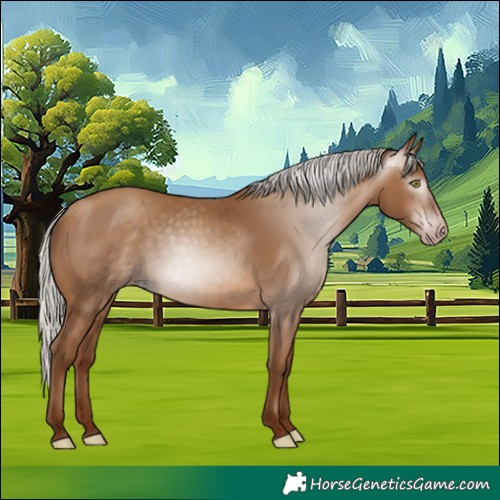 Horse Color:Gray Silver Sable Champagne 