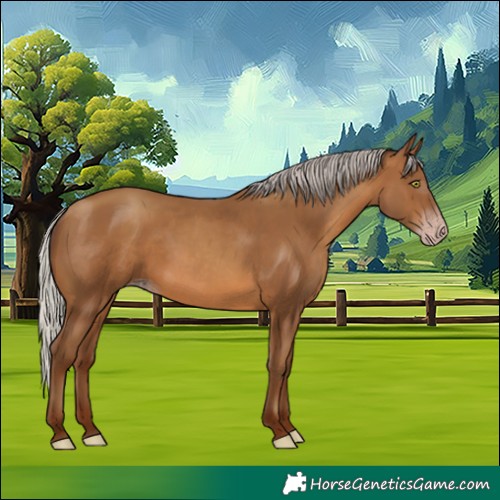 Horse Color:Gray Silver Sable Champagne 