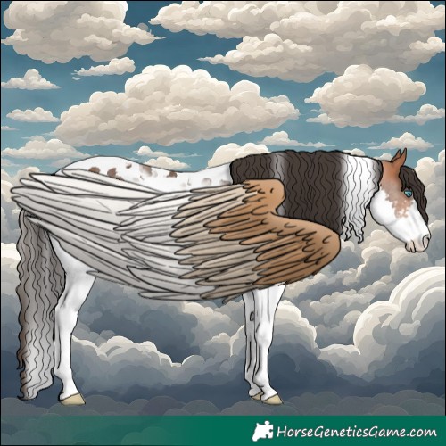Horse Color:Bay Splash Tobiano