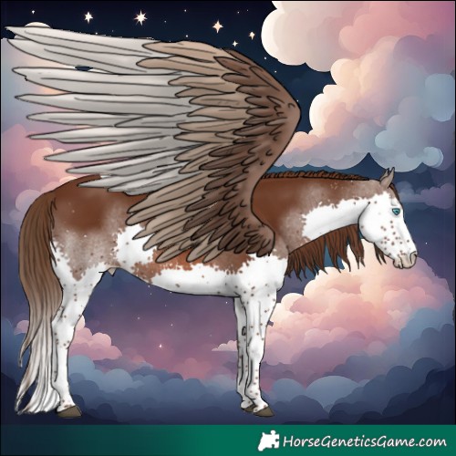Horse Color:Liver Chestnut Splash Tobiano Rabicano