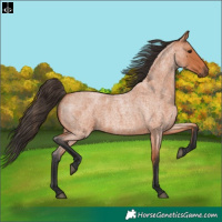 Horse Color:Bay Roan 