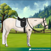 Horse Color:Silver Amber Champagne Pearl Dun Sabino Tobiano Rabicano