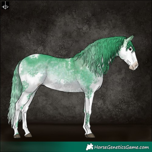 Horse Color:Watercolor Brown Splash Tobiano 
