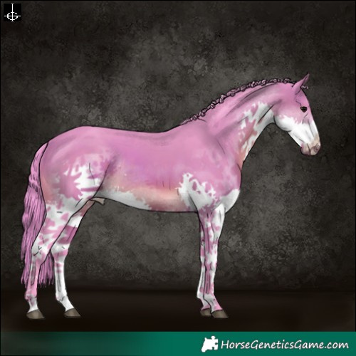 Horse Color:Watercolor Brown Splash Tobiano 