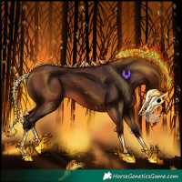 Horse Color:Bay Tobiano