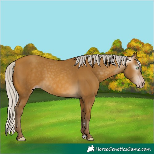 Horse Color:Gray Silver Sable Cream Champagne 