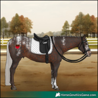 Horse Color:Powder White Silver Brown