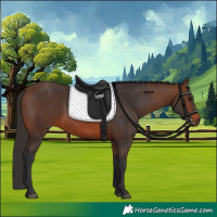 Horse Color:Brown 