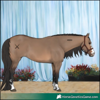 Horse Color:Brown Dun
