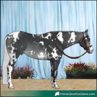 Horse Color:White Spotted Silver Brown Chinchilla 