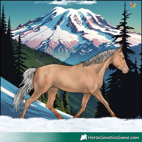 Horse Color:Silver Sable Champagne 