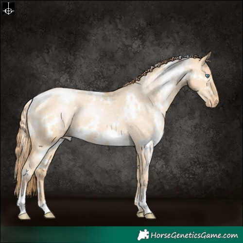 Horse Color:White Spotted Smoky Grullo Pearl Snowflake Varnish 