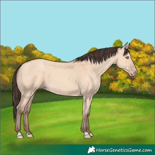 Horse Color:Amber Champagne Dun 
