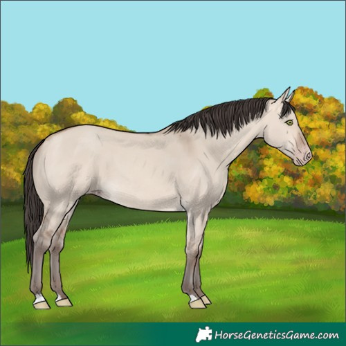 Horse Color:Amber Champagne Dun 