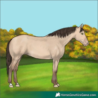 Horse Color:Amber Champagne Dun 