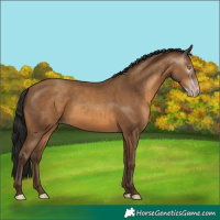 Horse Color:Gray Amber Champagne 