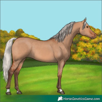 Horse Color:Silver Bay Dun Rabicano 