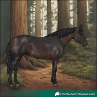 Horse Color:Brown 