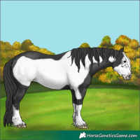 Horse Color:Black Frame 