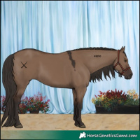 Horse Color:Liver Red Dun 