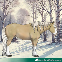 Horse Color:Watercolor White Spotted Palomino Splash 
