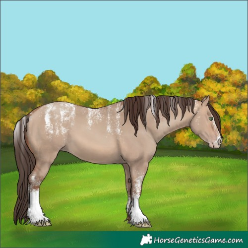 Horse Color:Powder White Sable Champagne Dun 