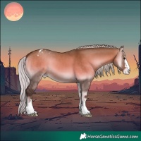 Horse Color:Silver Brown Onyx Appaloosa 