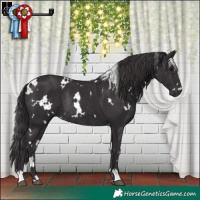 Horse Color:White Spotted Smoky Black Rabicano
