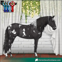 Horse Color:White Spotted Smoky Black Rabicano 