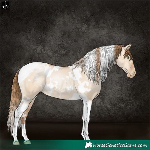 Horse Color:White Spotted Brown Pearl Dun Tobiano 