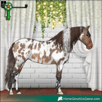 Horse Color:White Spotted Brown Dun Appaloosa Rabicano 