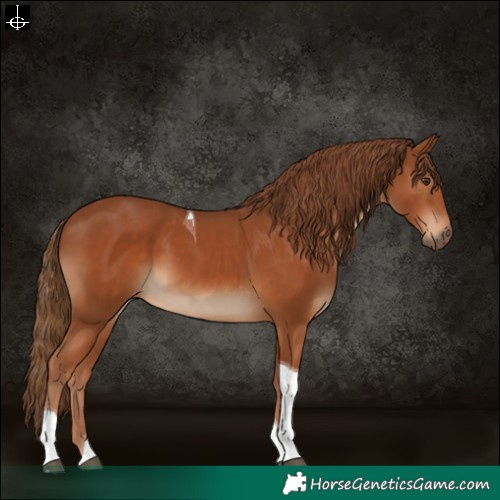 Horse Color:Chestnut Tobiano 