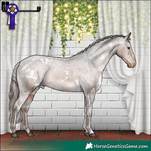 Horse Color:White Spotted Liver Chestnut Varnish 