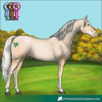 Horse Color:Silver Buckskin Pearl 
