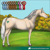 Horse Color:Silver Buckskin Snowdrop