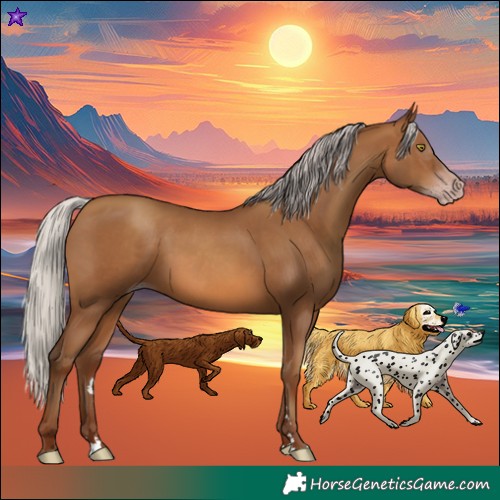 Horse Color:Gray Silver Sable Champagne 