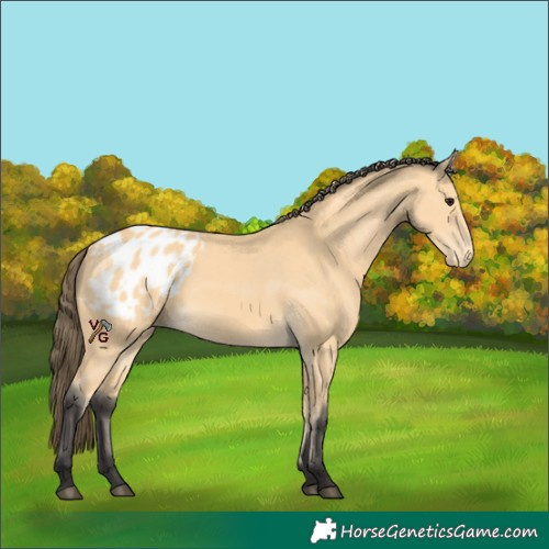 Horse Color:Unknown 