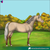 Horse Color:Gray Silver Sable Champagne Dun 
